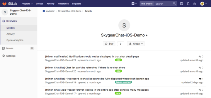 skygear gitlab software qa testing