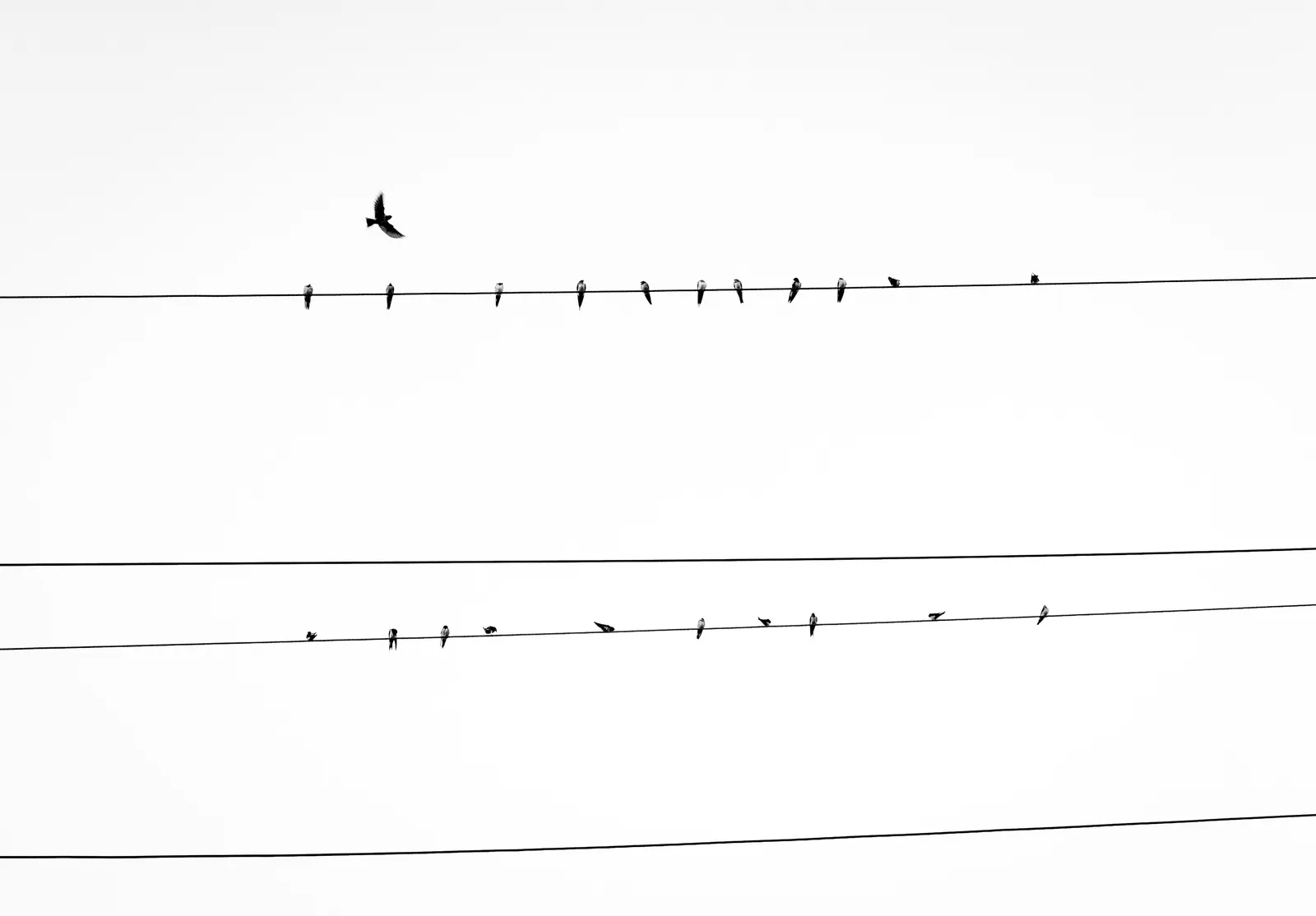 Should you use Sticky Header?